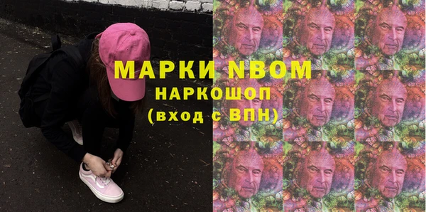 амф Верея