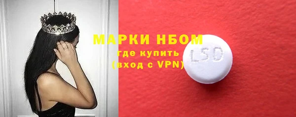 амф Верея