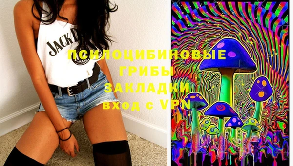 амф Верея