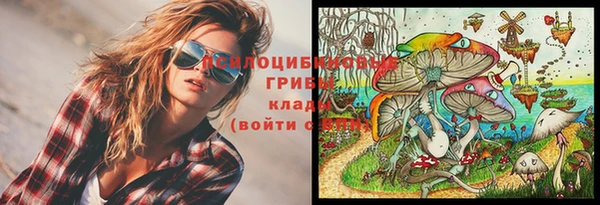 прущие крисы Володарск